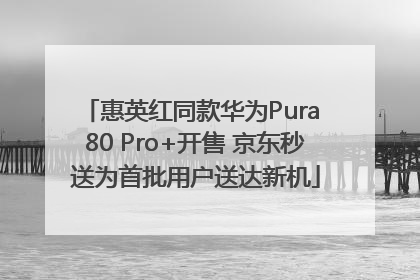 惠英红同款华为Pura 80 Pro+开售 京东秒送为首批用户送达新机