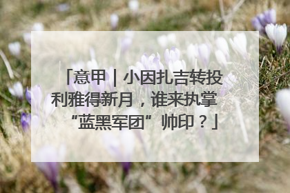 意甲｜小因扎吉转投利雅得新月，谁来执掌“蓝黑军团”帅印？