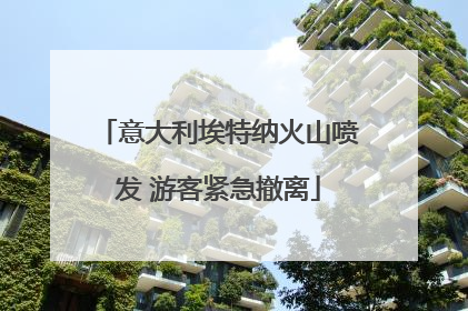 意大利埃特纳火山喷发 游客紧急撤离