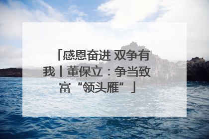 感恩奋进 双争有我丨董保立：争当致富“领头雁”