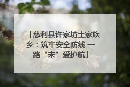 慈利县许家坊土家族乡:筑牢安全防线 一路“未”爱护航