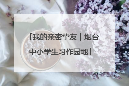 我的亲密挚友｜烟台中小学生习作园地