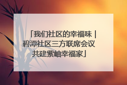 我们社区的幸福味｜碧潭社区三方联席会议共建紫岫幸福家