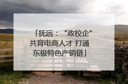抚远：“政校企”共育电商人才 打通东极特色产销链