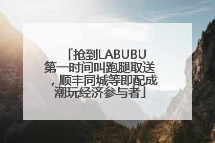 抢到LABUBU第一时间叫跑腿取送，顺丰同城等即配成潮玩经济参与者
