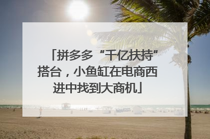 拼多多“千亿扶持”搭台，小鱼缸在电商西进中找到大商机