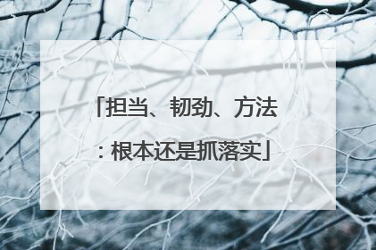 担当、韧劲、方法：根本还是抓落实