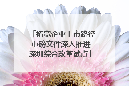 拓宽企业上市路径 重磅文件深入推进深圳综合改革试点