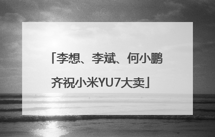 李想、李斌、何小鹏齐祝小米YU7大卖