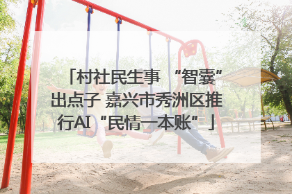 村社民生事 “智囊”出点子 嘉兴市秀洲区推行AI“民情一本账”