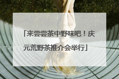 来尝尝茶中野味吧！庆元荒野茶推介会举行