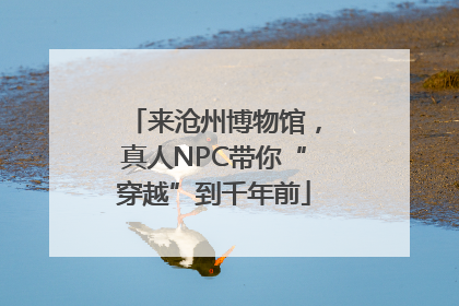 来沧州博物馆，真人NPC带你“穿越”到千年前