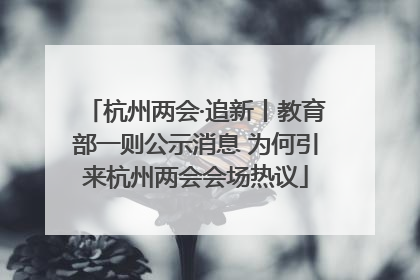 杭州两会·追新丨教育部一则公示消息 为何引来杭州两会会场热议
