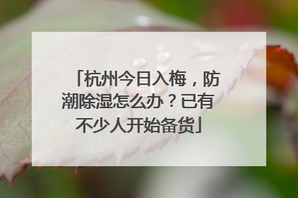杭州今日入梅，防潮除湿怎么办？已有不少人开始备货