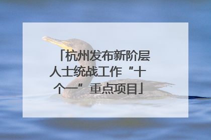 杭州发布新阶层人士统战工作“十个一”重点项目