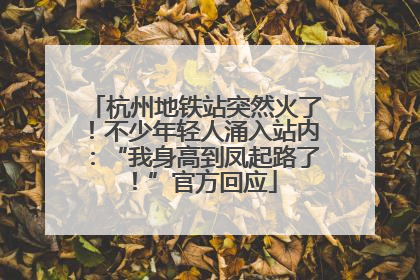 杭州地铁站突然火了！不少年轻人涌入站内：“我身高到凤起路了！”官方回应