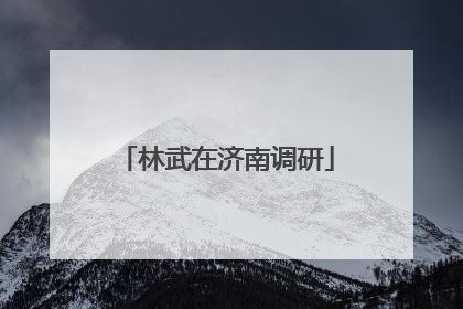 林武在济南调研