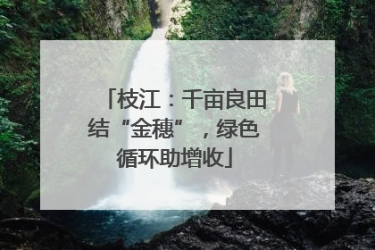 枝江：千亩良田结“金穗”，绿色循环助增收