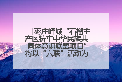 枣庄峄城“石榴主产区铸牢中华民族共同体意识联盟项目”将以“六联”活动为抓手深化品牌建设