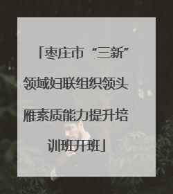 枣庄市“三新”领域妇联组织领头雁素质能力提升培训班开班