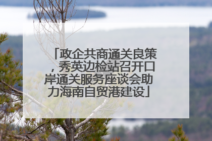 政企共商通关良策，秀英边检站召开口岸通关服务座谈会助力海南自贸港建设