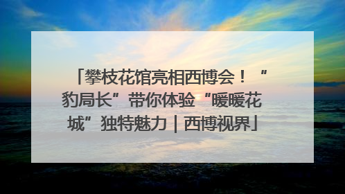 攀枝花馆亮相西博会！“豹局长”带你体验“暖暖花城”独特魅力｜西博视界