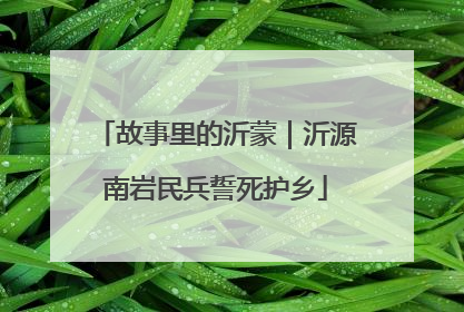 故事里的沂蒙｜沂源南岩民兵誓死护乡