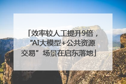 效率较人工提升9倍，“AI大模型+公共资源交易”场景在启东落地