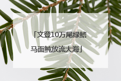 文登10万尾绿鳍马面鲀放流大海