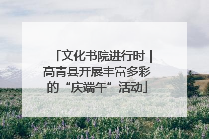 文化书院进行时｜高青县开展丰富多彩的“庆端午”活动
