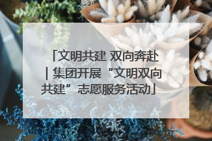 文明共建 双向奔赴｜集团开展“文明双向共建”志愿服务活动