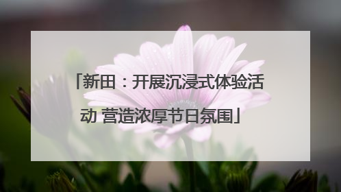 新田：开展沉浸式体验活动 营造浓厚节日氛围