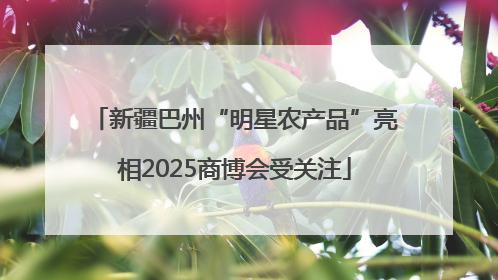 新疆巴州“明星农产品”亮相2025商博会受关注