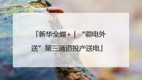新华全媒+｜“疆电外送”第三通道投产送电