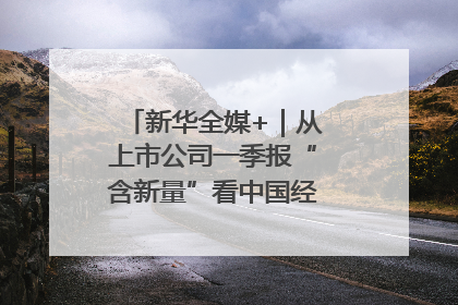 新华全媒+｜从上市公司一季报“含新量”看中国经济发展向“新”