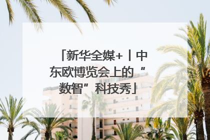 新华全媒+丨中东欧博览会上的“数智”科技秀