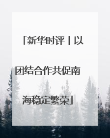 新华时评丨以团结合作共促南海稳定繁荣