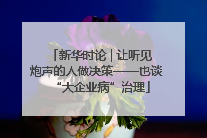 新华时论 | 让听见炮声的人做决策——也谈“大企业病”治理