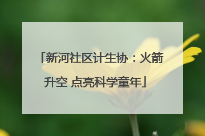 新河社区计生协：火箭升空 点亮科学童年