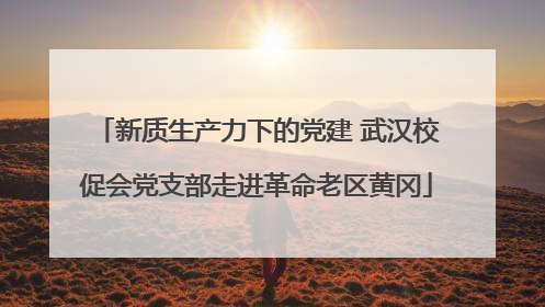 新质生产力下的党建 武汉校促会党支部走进革命老区黄冈