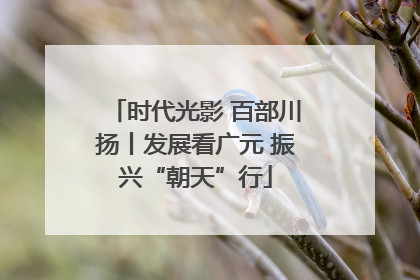 时代光影 百部川扬丨发展看广元 振兴“朝天”行