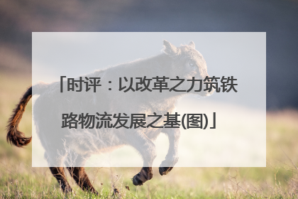 时评：以改革之力筑铁路物流发展之基(图)