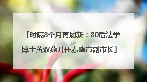 时隔8个月再履新：80后法学博士黄双燕升任赤峰市副市长