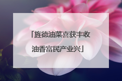 旌德油菜喜获丰收 油香富民产业兴