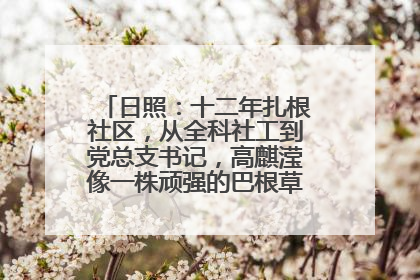 日照：十二年扎根社区，从全科社工到党总支书记，高麒滢像一株顽强的巴根草，把根深深扎进基层的土壤——“巴根草书记”的夏日叙事