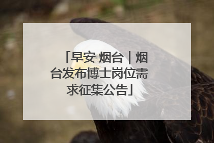 早安 烟台｜烟台发布博士岗位需求征集公告