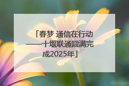 春梦 通信在行动——十堰联通圆满完成2025年