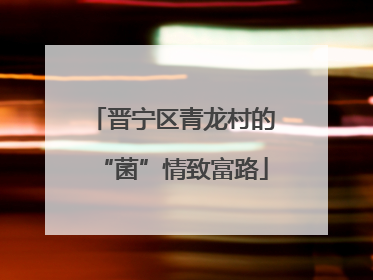 晋宁区青龙村的“菌”情致富路