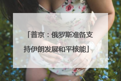 普京：俄罗斯准备支持伊朗发展和平核能
