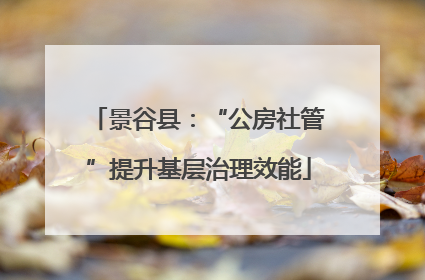 景谷县：“公房社管”提升基层治理效能